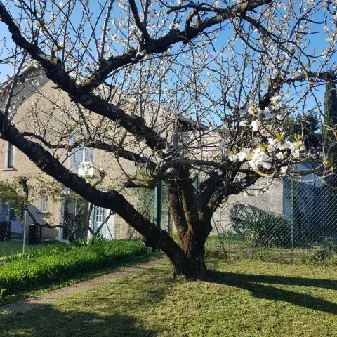 printemps antre des vices