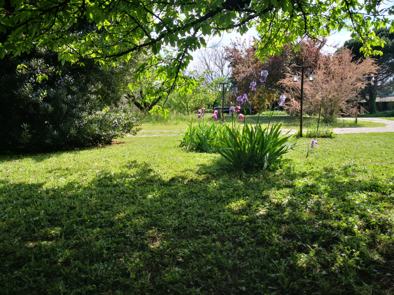 printemps antre des vices